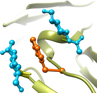Schneider Lab at IBT